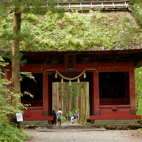 ศาลเจ้าโทกาคุชิ (Togakushi Shrine) ศาลเจ้าที่ตั้งอยู่ท่ามกลางธรรมชาติ พร้อมกับความรู้เกี่ยวกับศาสนา