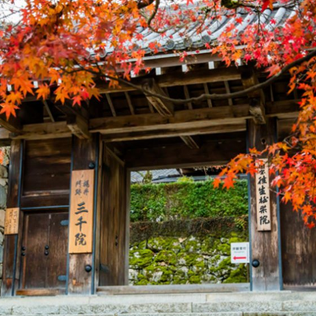 มารู้จักกับธรรมชาติและศิลปะอันสวยงามได้ที่ Sanzen-in Temple ที่จะทำให้คุณหลงรักญี่ปุ่น