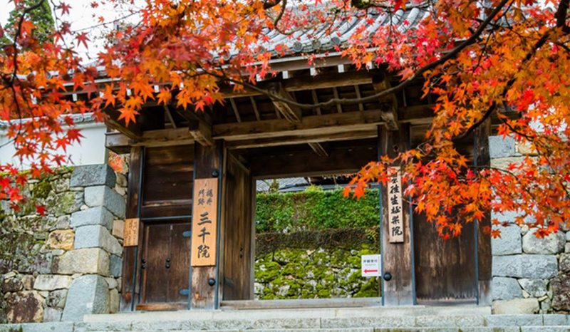 มารู้จักกับธรรมชาติและศิลปะอันสวยงามได้ที่ Sanzen-in Temple ที่จะทำให้คุณหลงรักญี่ปุ่น