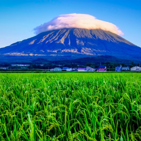 ภูเขาโยเทย์ (Mount Yotei) เขาฟูจิแห่งฮอกไกโดกับทัศนียภาพแบบพาโนรามาของภูมิทัศน์โดยรอบ