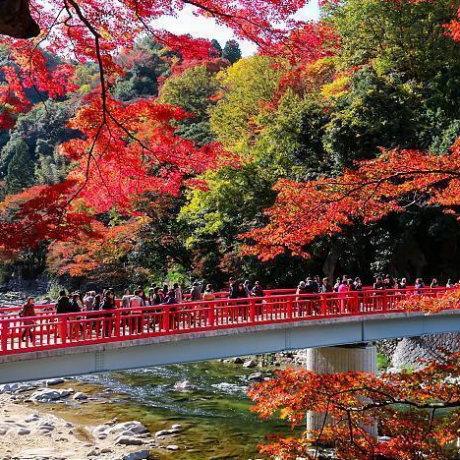 หุบเขาโครันเคย์ (Korankei Gorge) กับความงดงามของธรรมชาติในฤดูใบไม้เปลี่ยนสี