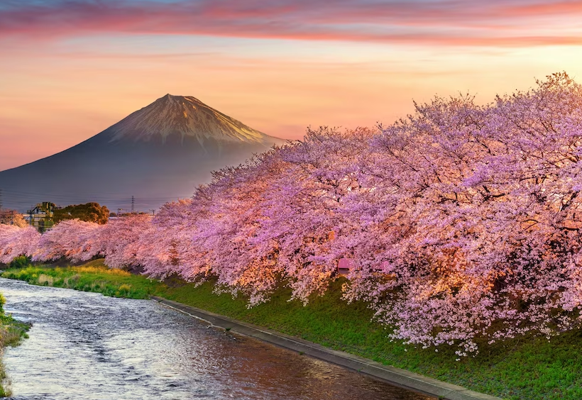 8 แลนด์มาร์คเด็ดๆ ใน “ชิซุโอกะ” ดินแดนนี้ชาอร่อยมากแม่