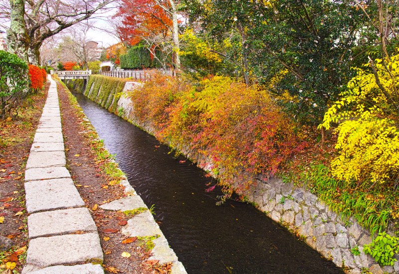 ทางเดินของนักปราชญ์ กับวิวของธรรมชาติอันสวยงามที่หาดูที่ไหนไม่ได้อีก