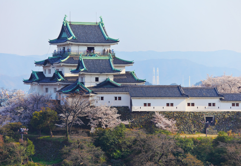 8 แลนด์มาร์คใน “วากายามะ” เมืองแห่งอัศจรรย์ทางวัฒนธรรม